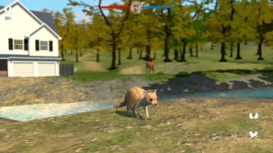 Flying Squirrel Simulator Game screenshot 3