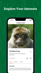 Trentham Monkey Forest screenshot 4