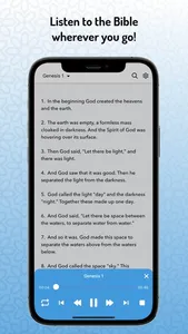 NIV Study Bible - Holy Version screenshot 2