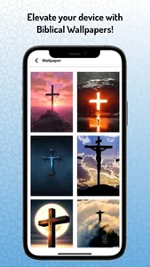 NIV Study Bible - Holy Version screenshot 4