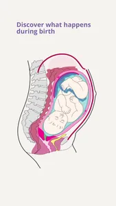 Giving Birth Explained screenshot 7