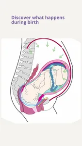 Giving Birth Explained screenshot 8