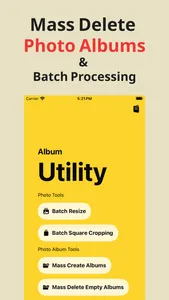 Album Utility Mass Delete Tool screenshot 0