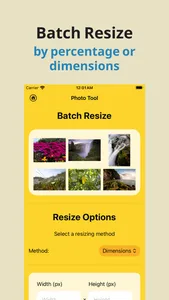 Album Utility Mass Delete Tool screenshot 2