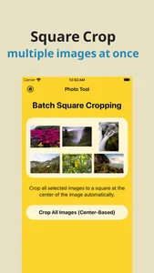 Album Utility Mass Delete Tool screenshot 3