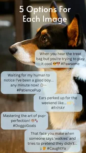 Capit AI Image Captions screenshot 7