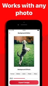 Photo Blur: Background Effect screenshot 1