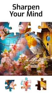 Puzzles for Seniors screenshot 5