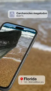 BeachBop® screenshot 1