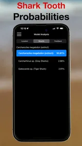 BeachBop® screenshot 3