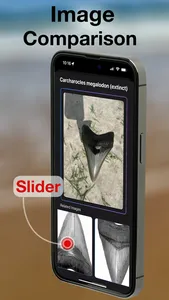 BeachBop® screenshot 4