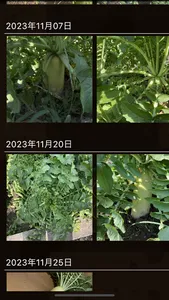 Farm Reco ファームレコ -家庭菜園・畑の記録- screenshot 2