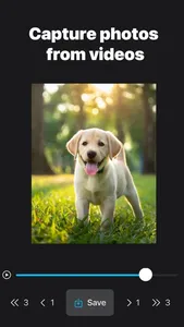 AI Frame Grabber: Video to Pic screenshot 0