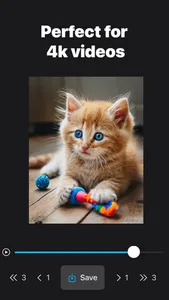 AI Frame Grabber: Video to Pic screenshot 1