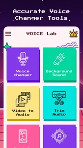 VoiceLab - Voice Changer screenshot 5