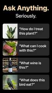 Campedia - AI Camera screenshot 2