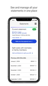 AES Ohio screenshot 3