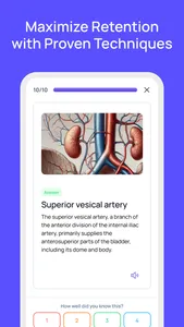 Quizgecko: AI Flashcards screenshot 2