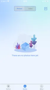 Picidae screenshot 2