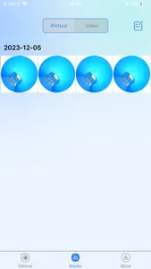 Picidae screenshot 3