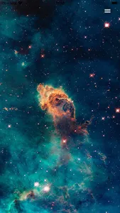 Walpium: 4K Wallpapers & Theme screenshot 8