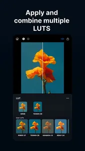 Color Grade Video - PeekLut screenshot 0
