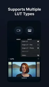 Color Grade Video - PeekLut screenshot 1