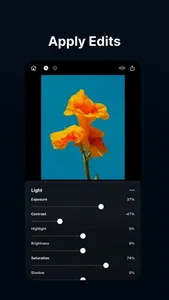 Color Grade Video - PeekLut screenshot 2