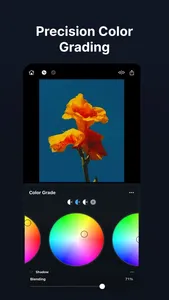 Color Grade Video - PeekLut screenshot 3