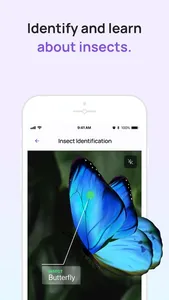6Sense AI screenshot 5