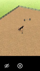 Equine Academy screenshot 1