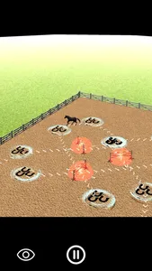 Equine Academy screenshot 8