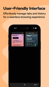 Instabridge Web Browser screenshot 2