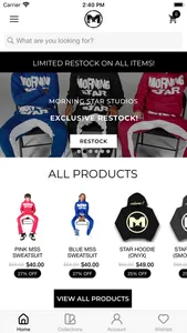 MorningStarStudios screenshot 0