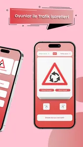 Drivers's License Exam Theory screenshot 8