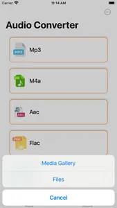 Audio Converter & Extractor screenshot 0