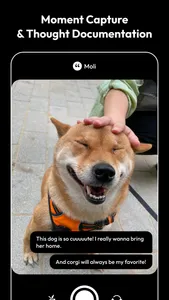 Moli - AI Journal & Diary screenshot 0