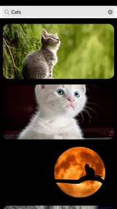 Wallcraft Wallpapers HD screenshot 0