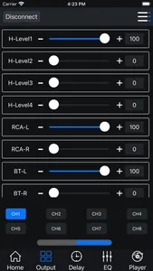 DSP-480 screenshot 2