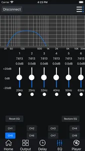 DSP-480 screenshot 4