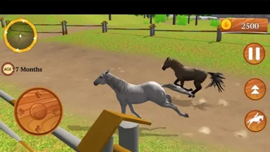 Wild Horse Equestrian Family screenshot 3