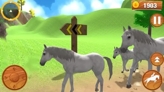 Wild Horse Equestrian Family screenshot 4