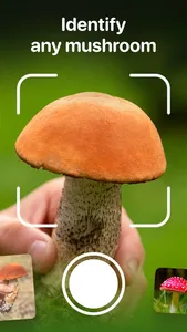 Mushroom Identifier - Fungi ID screenshot 0