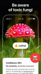 Mushroom Identifier - Fungi ID screenshot 1
