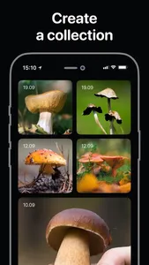 Mushroom Identifier - Fungi ID screenshot 2