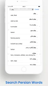 FasterDic screenshot 1
