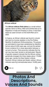 Mammals of Europe screenshot 1