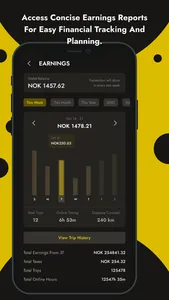 3T Driver screenshot 7