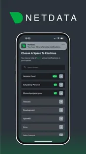 Netdata Mobile screenshot 1