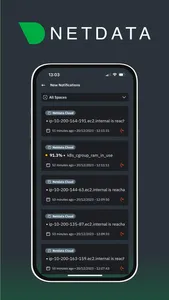 Netdata Mobile screenshot 3